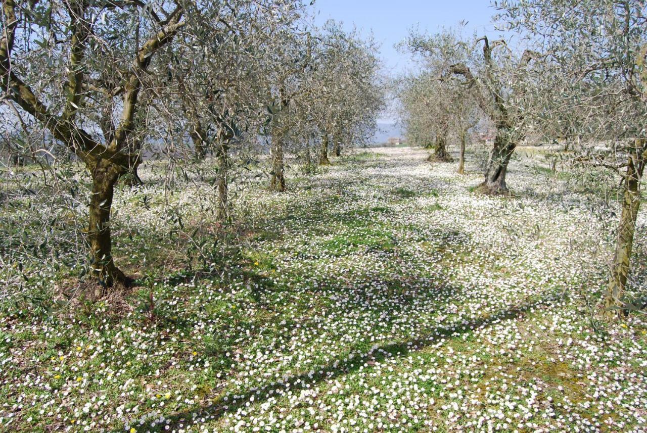 Bilocale Verde Umbria Montecastrilli Exterior foto